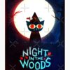 flat750x075f pad750x1000f8f8f8.u15 3 - Night in the Woods Store