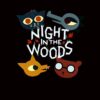 flat750x075f pad750x750f8f8f8 24 - Night in the Woods Store